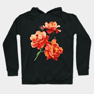 Orange roses in watercolor Hoodie